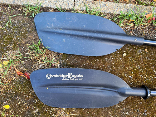 Cambridge kayaks black kayak - cambridge,